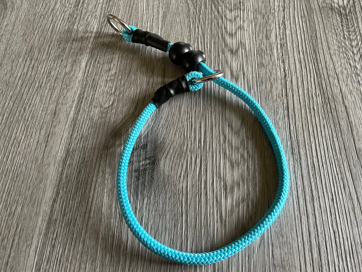 slip training collar for dog training