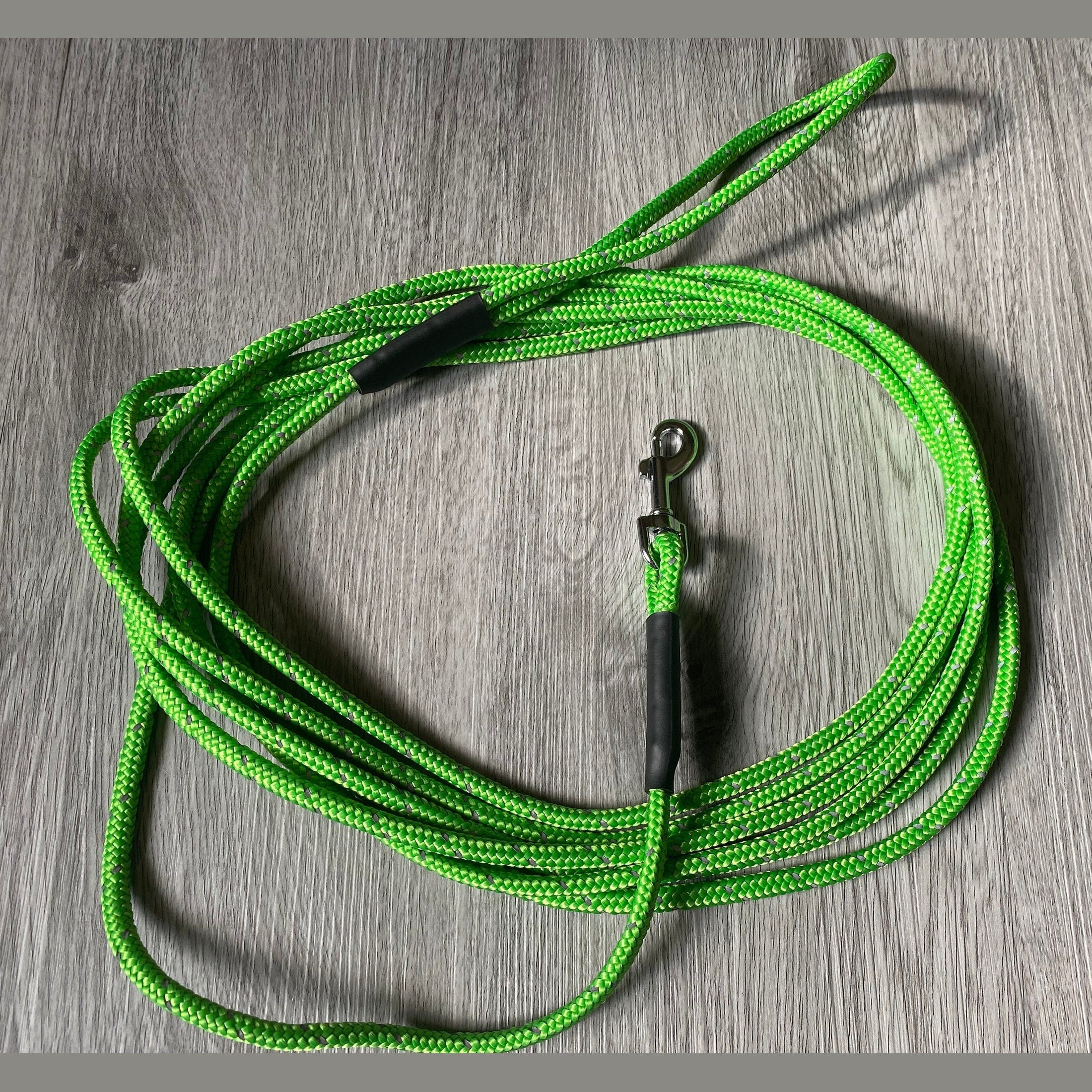 Small dog training lead long line recall ultra lightweight Colours