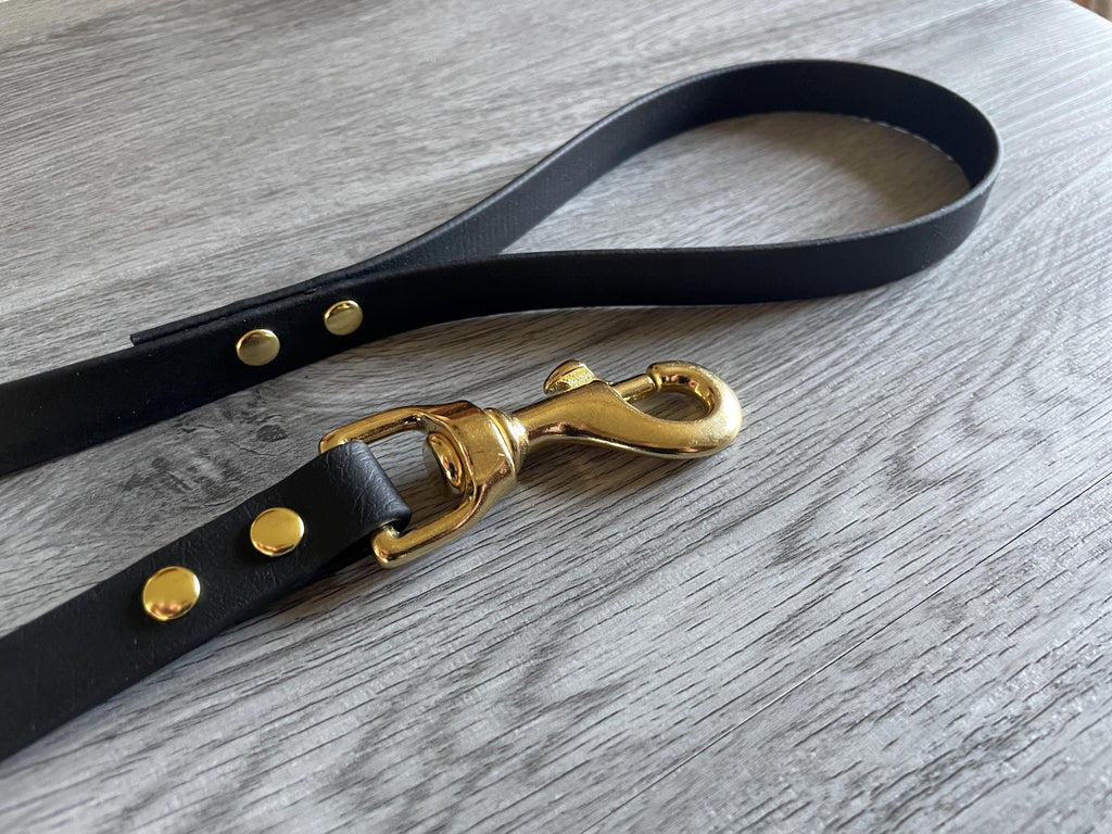 Biothane® Dog Training lead Waterproof long line Gundog puppy  2 foot- 10 foot