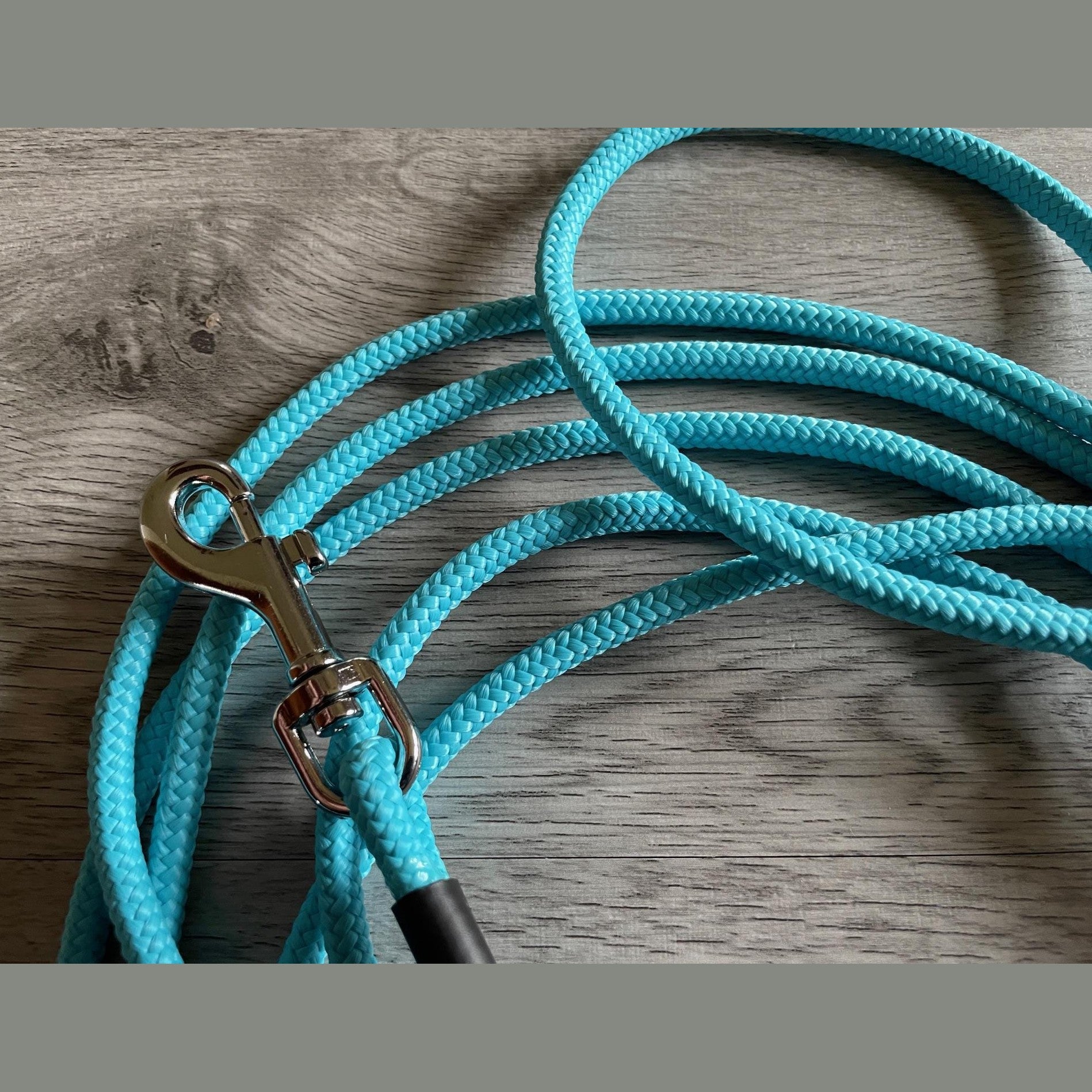 Small dog training lead long line recall ultra lightweight Colours
