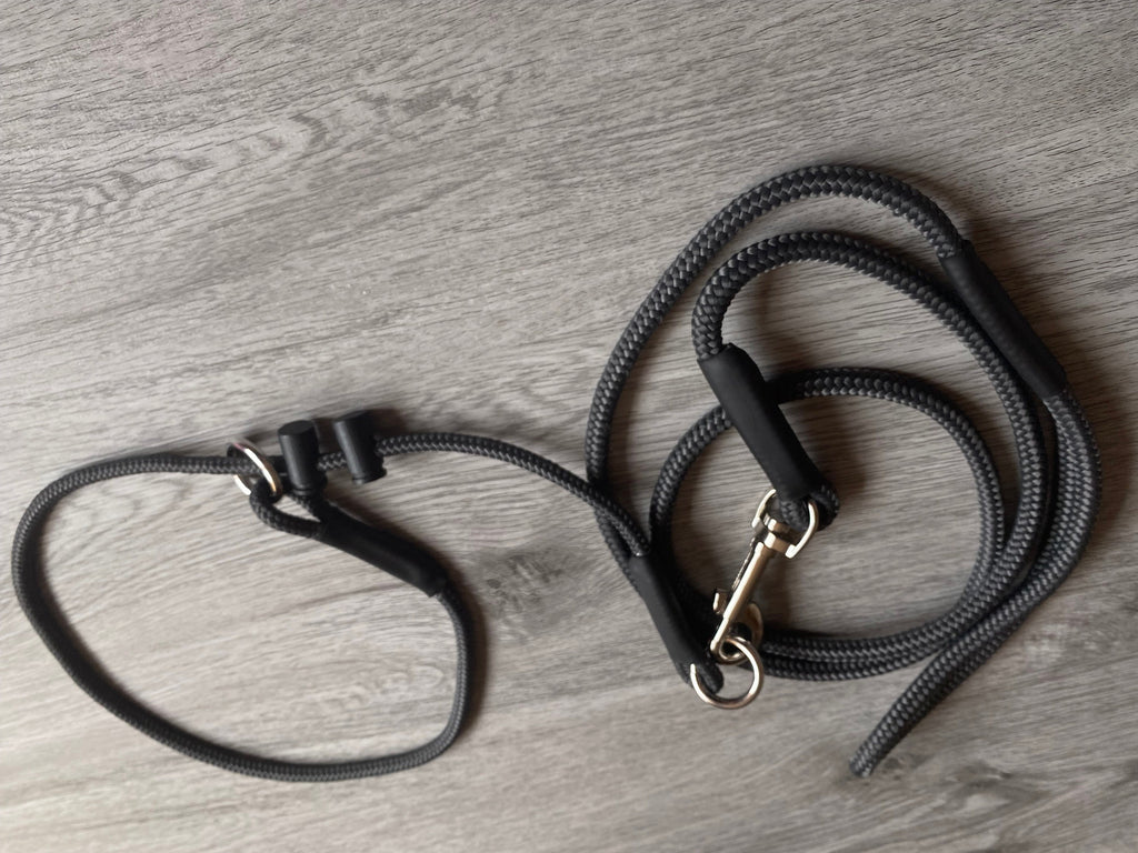 Training Slip collar and lead set no-pull dog lead Obedience training 6mm