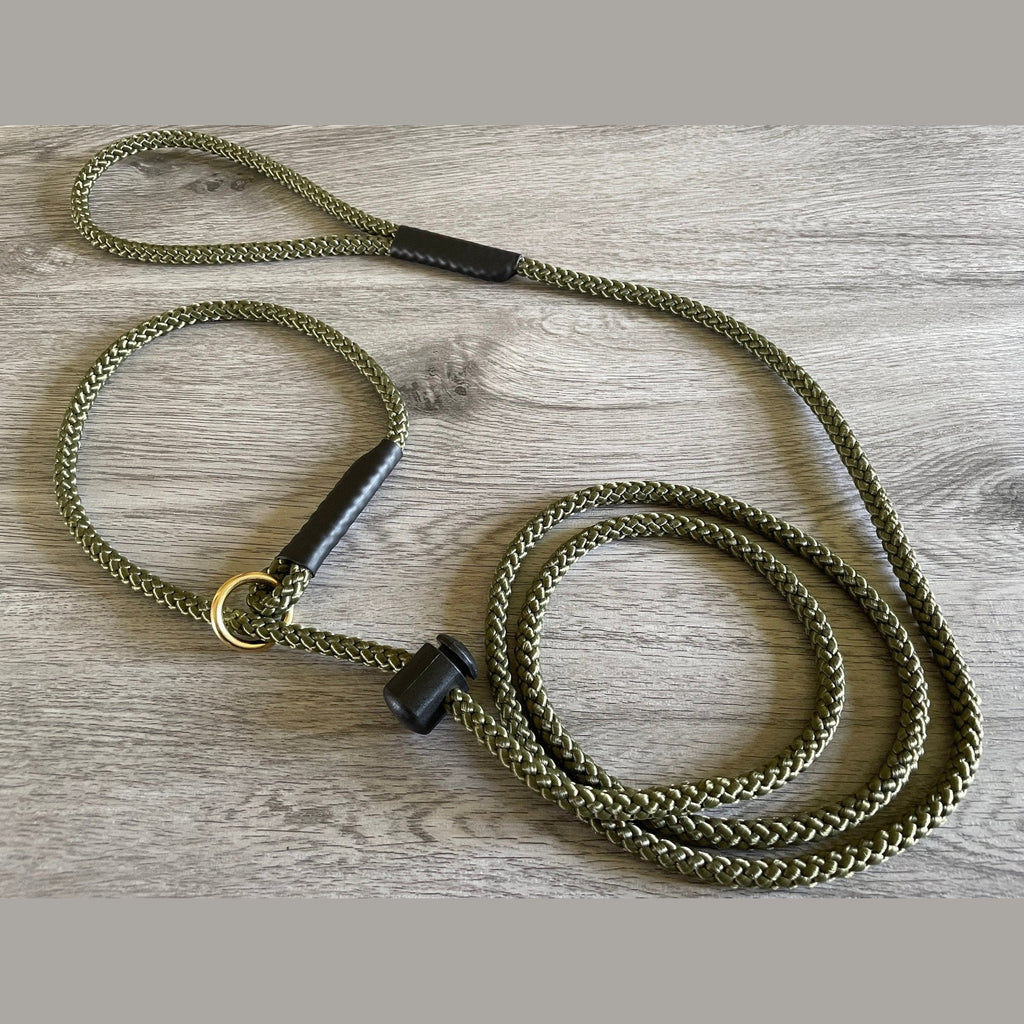 8mm slip lead for dogs

