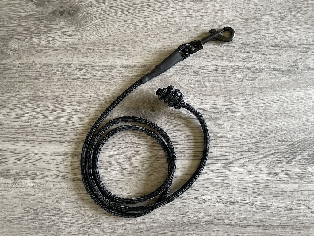 paracord dog lead for dog training
