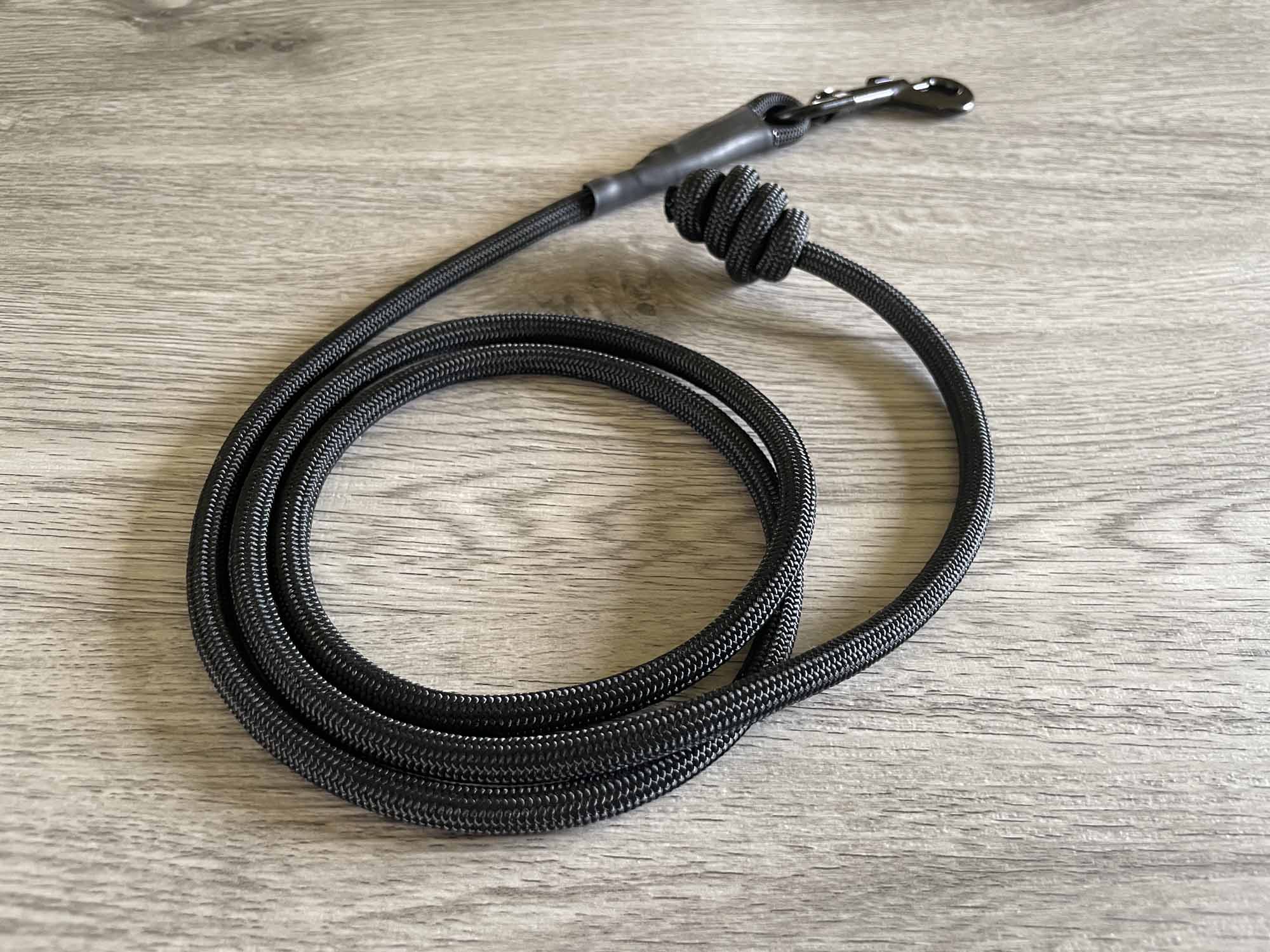 best dog lead for training