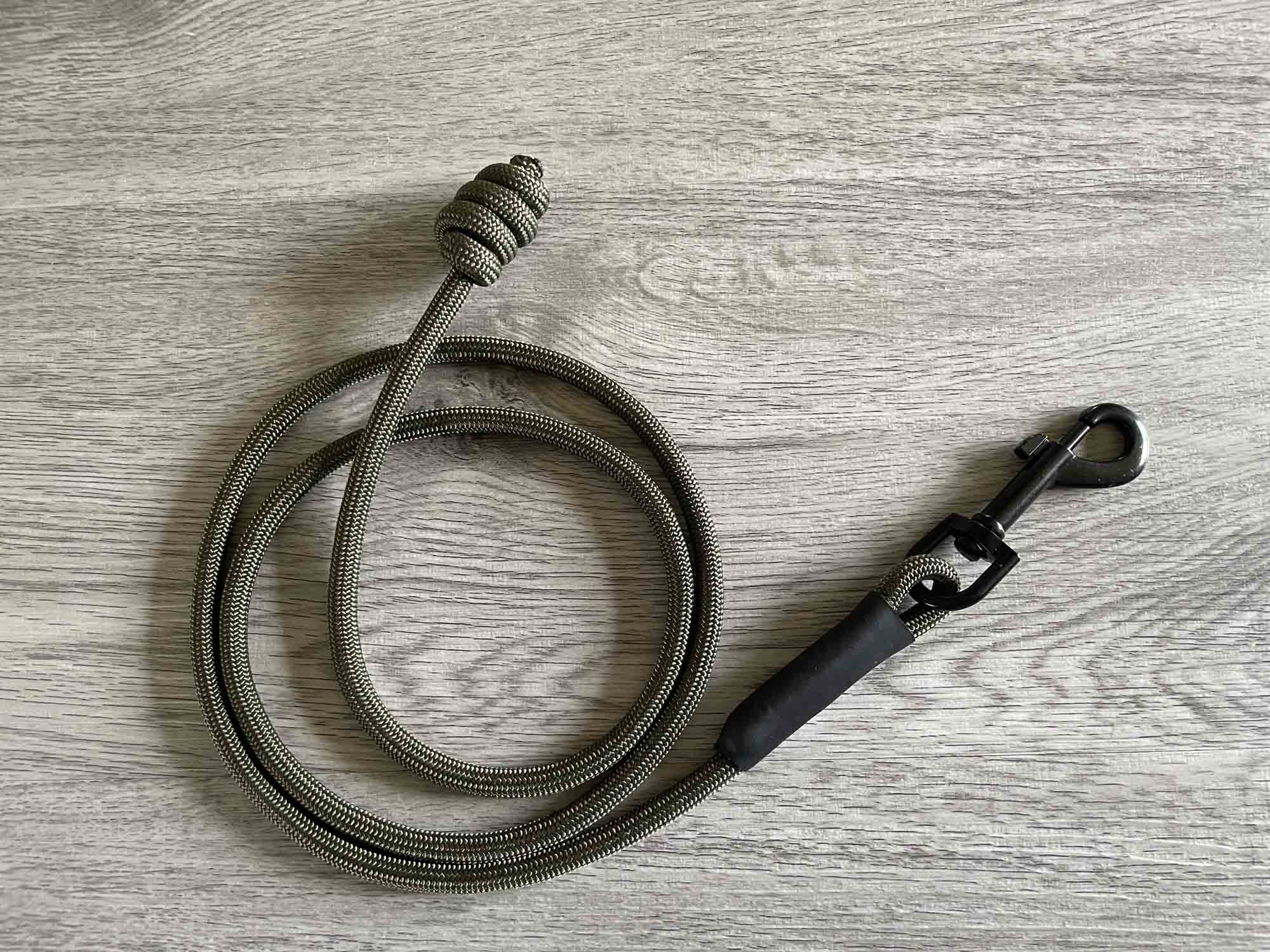 long dog training recall lead