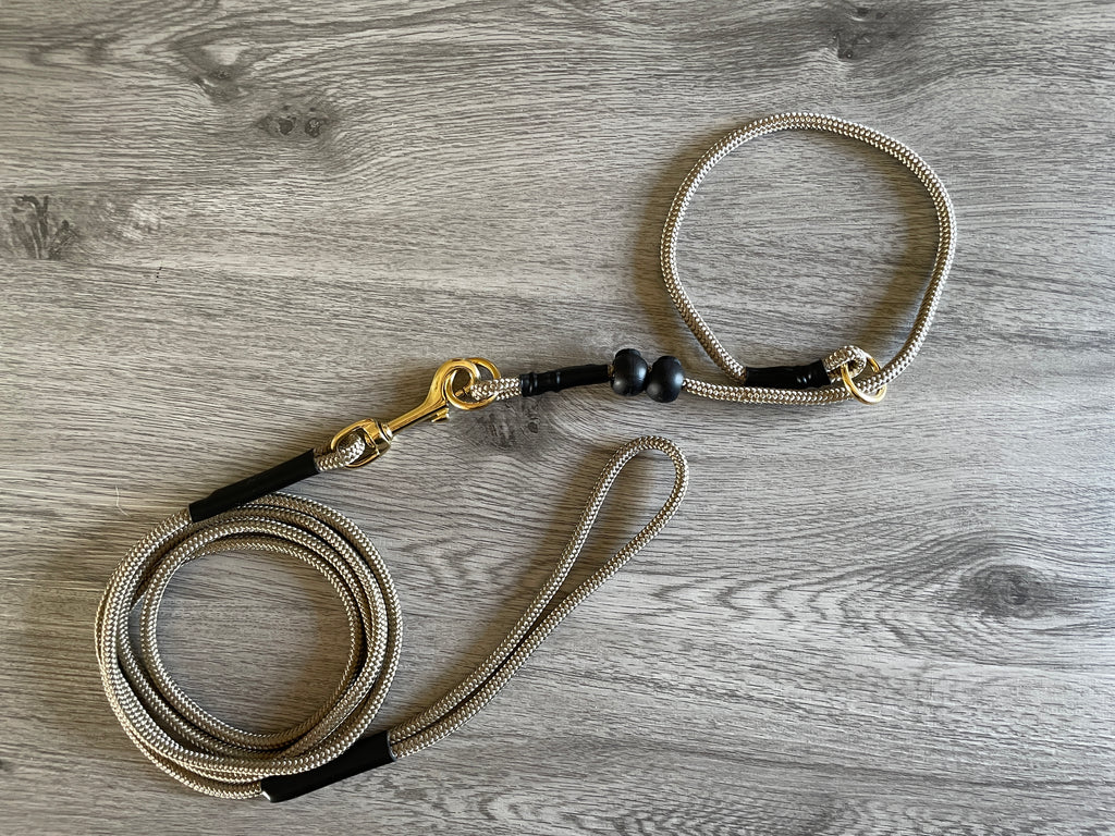 Training Slip collar and lead set no-pull dog lead Obedience training 6mm