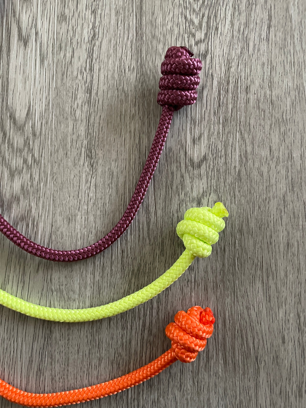 Slip Collar Knotted End for Dog Training Correction and Close Control