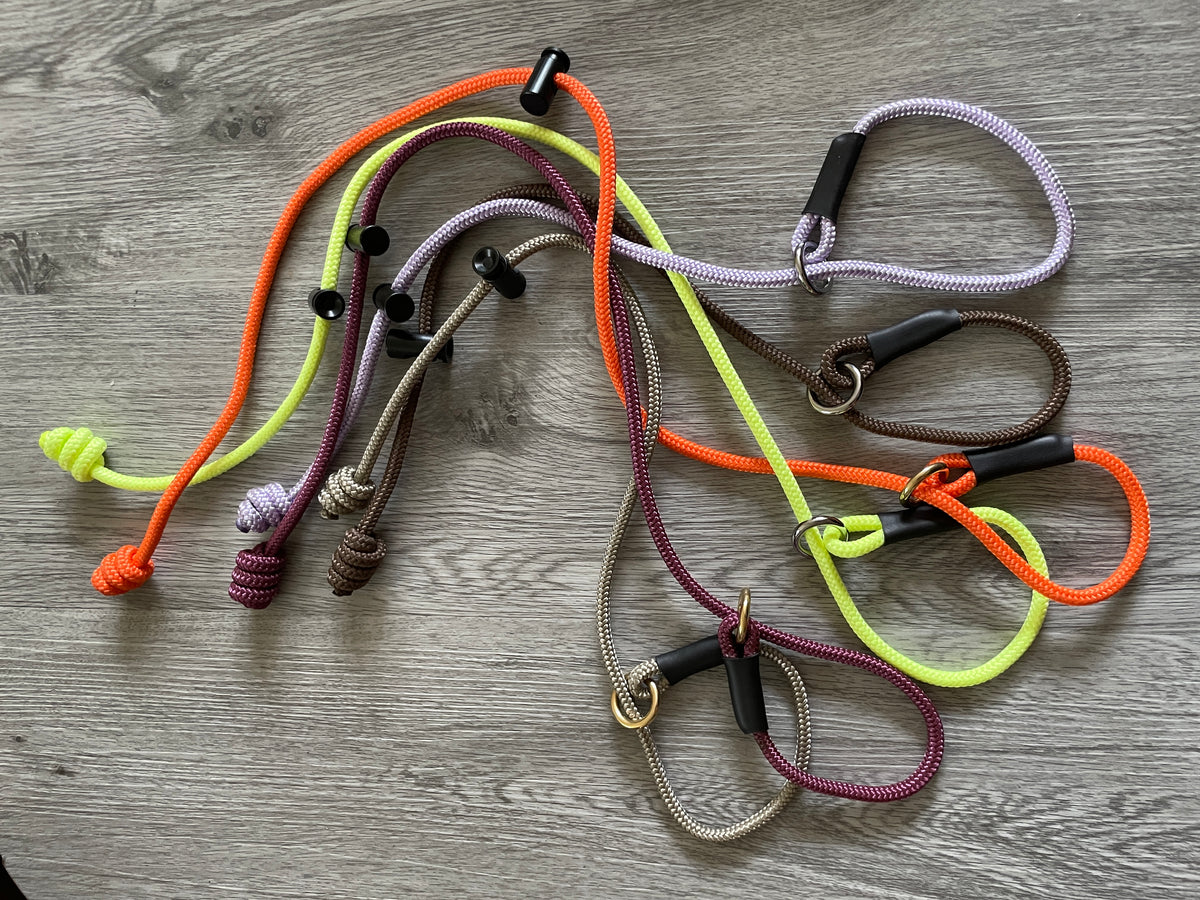 Slip Collar Knotted End for Dog Training Correction and Close Control