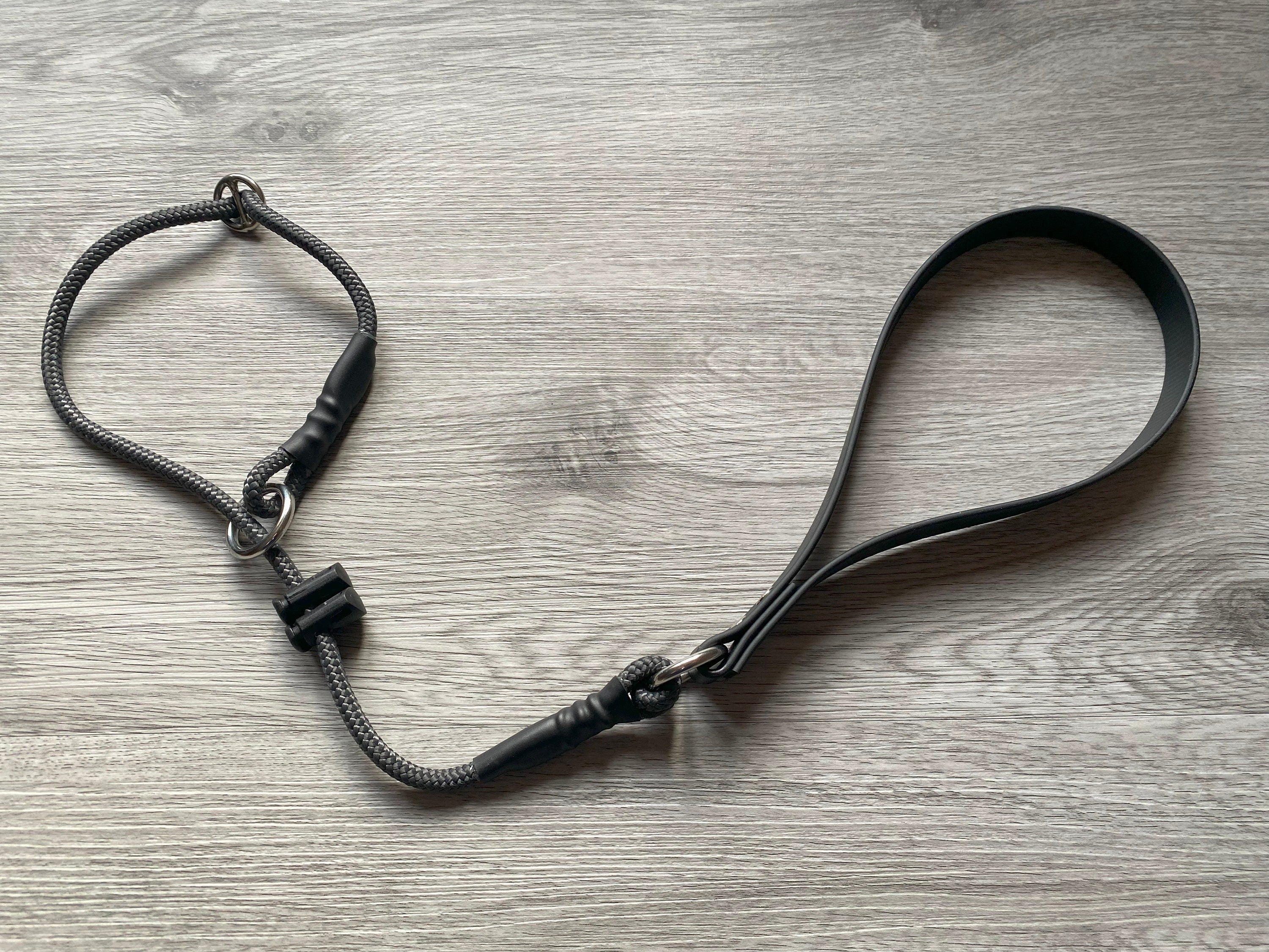 Short close control slip lead |Traffic Lead | Short training lead heeling lead | Figure of 8