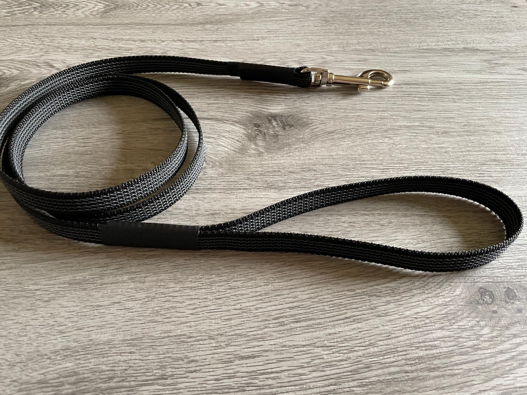 rubber dog lead