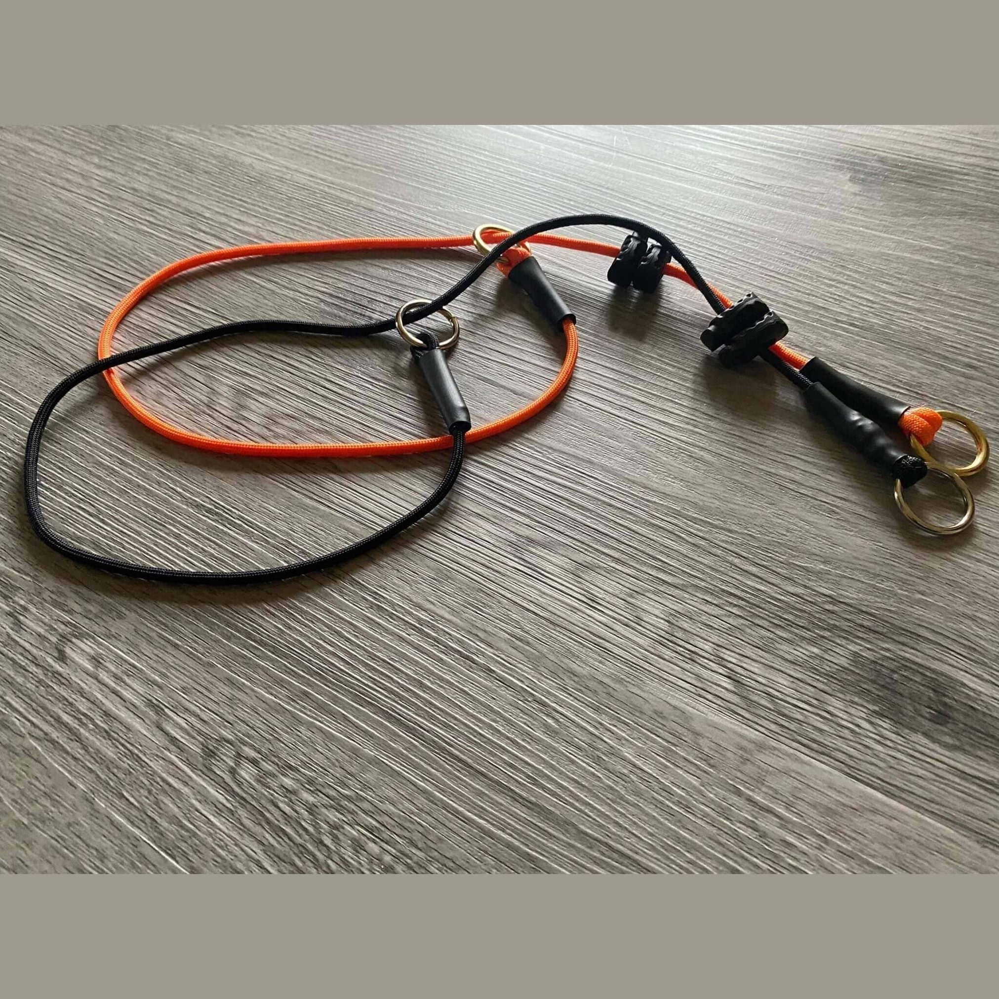 dominant dog collar
