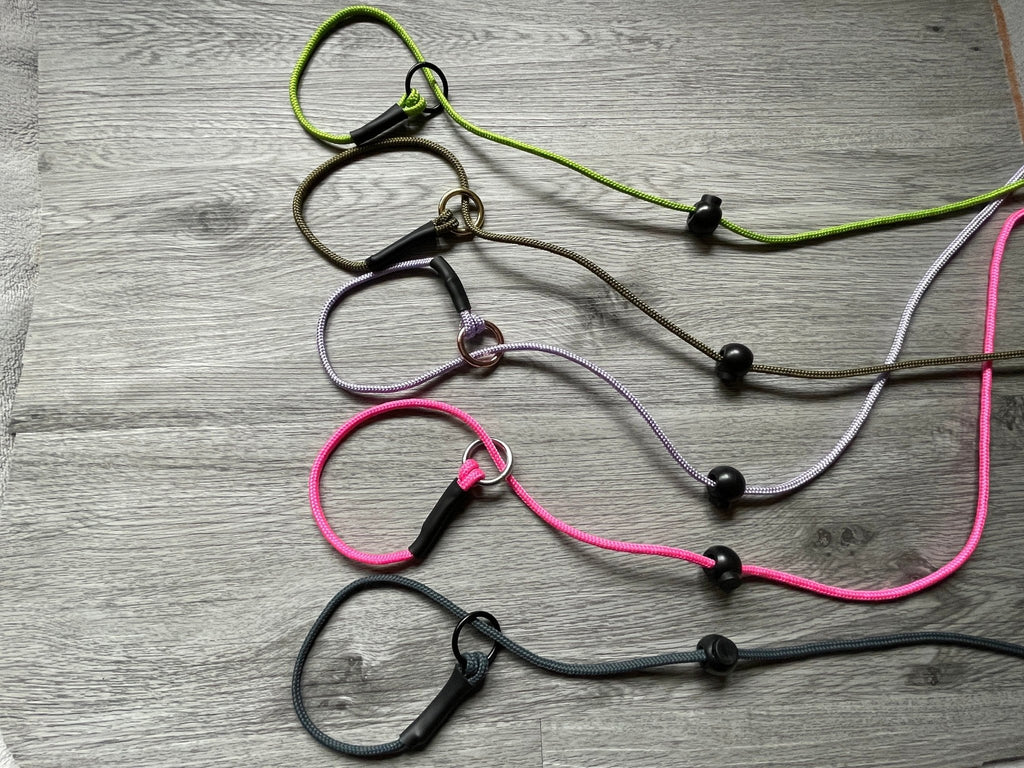 4mm Slip lead training