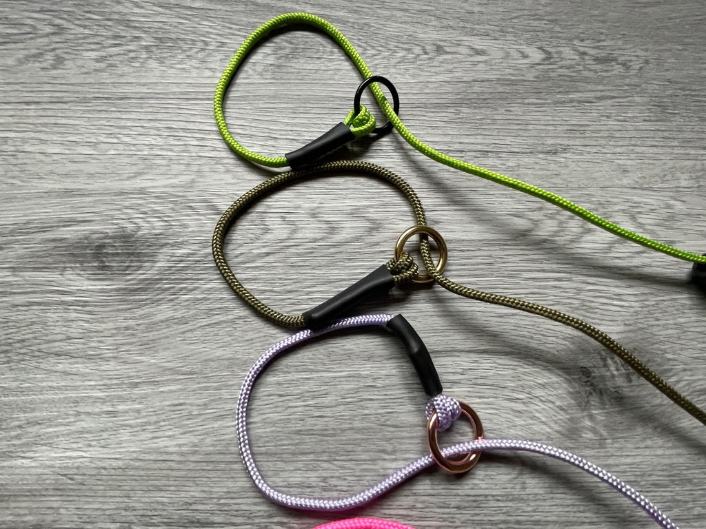 4mm Slip lead training